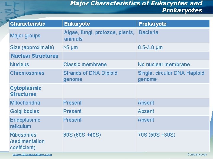 Major Characteristics of Eukaryotes and Prokaryotes Characteristic Eukaryote Prokaryote Major groups Algae, fungi, protozoa,