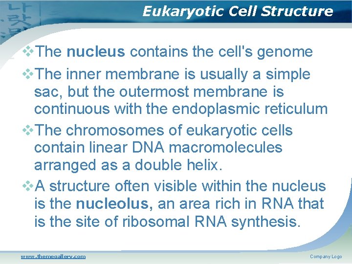 Eukaryotic Cell Structure The nucleus contains the cell's genome The inner membrane is usually
