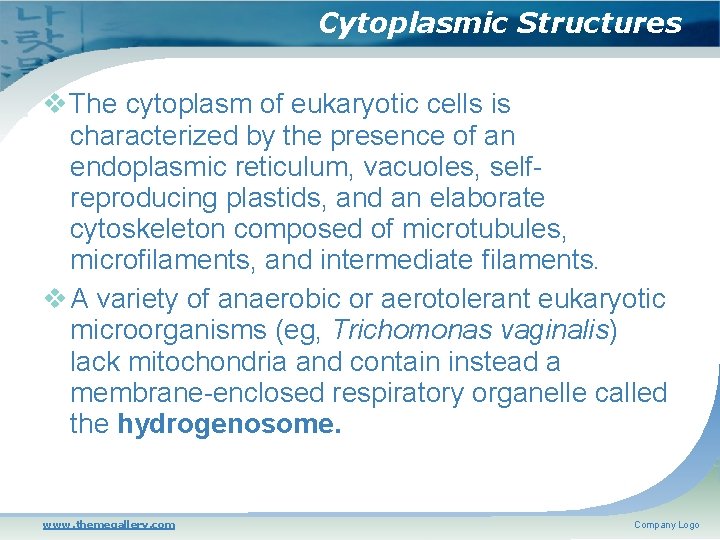 Cytoplasmic Structures The cytoplasm of eukaryotic cells is characterized by the presence of an
