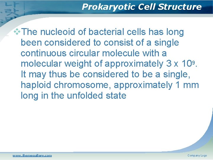 Prokaryotic Cell Structure The nucleoid of bacterial cells has long been considered to consist