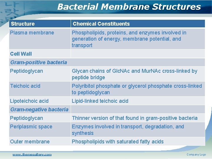 Bacterial Membrane Structures Structure Chemical Constituents Plasma membrane Phospholipids, proteins, and enzymes involved in