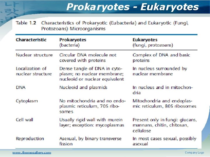 Prokaryotes - Eukaryotes www. themegallery. com Company Logo 