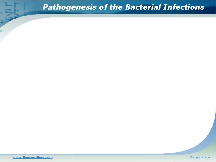 Pathogenesis of the Bacterial Infections www. themegallery. com Company Logo 