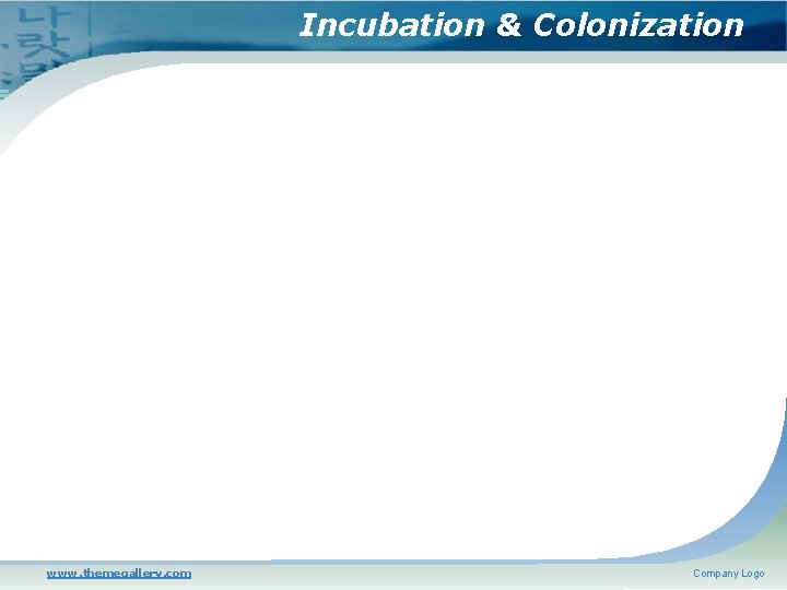 Incubation & Colonization www. themegallery. com Company Logo 