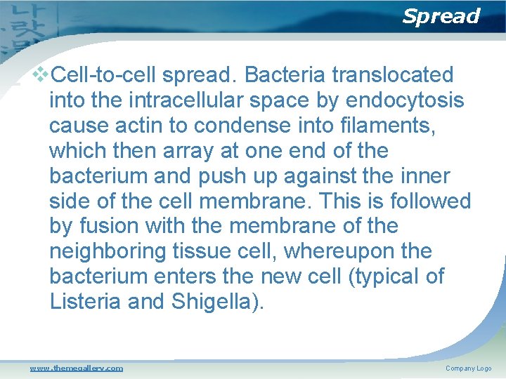 Spread Cell-to-cell spread. Bacteria translocated into the intracellular space by endocytosis cause actin to