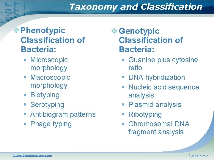 Taxonomy and Classification Phenotypic Classification of Bacteria: Microscopic morphology Macroscopic morphology Biotyping Serotyping Antibiogram