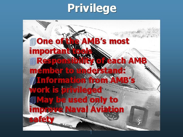 Privilege 4 One of the AMB’s most important tools 4 Responsibility of each AMB