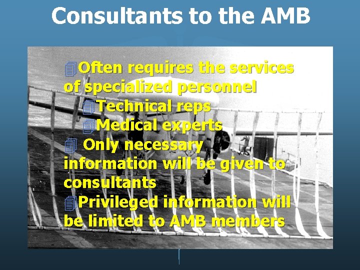 Consultants to the AMB 4 Often requires the services of specialized personnel 4 Technical