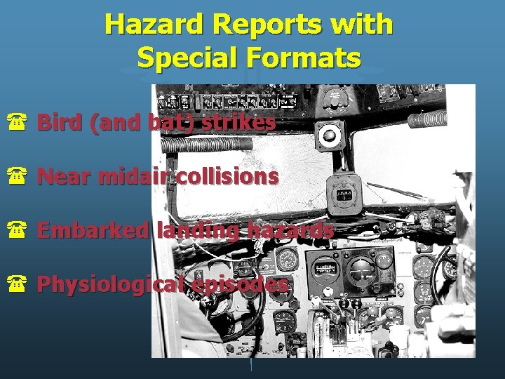 Hazard Reports with Special Formats ( Bird (and bat) strikes ( Near midair collisions