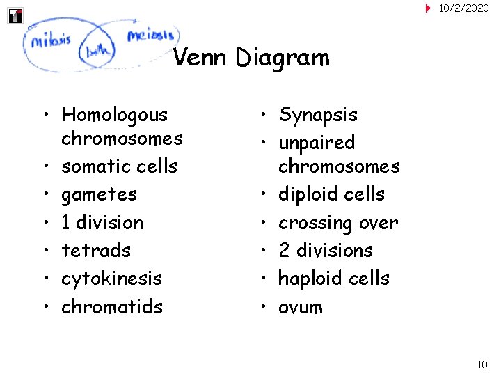 10/2/2020 Venn Diagram • Homologous chromosomes • somatic cells • gametes • 1 division