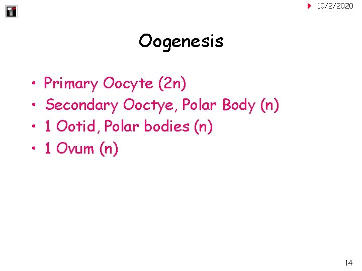 10/2/2020 Oogenesis • • Primary Oocyte (2 n) Secondary Ooctye, Polar Body (n) 1