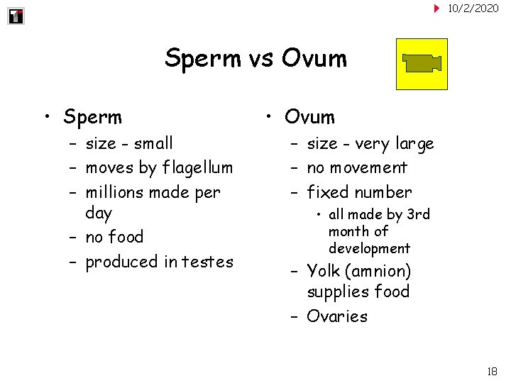 10/2/2020 Sperm vs Ovum • Sperm – size - small – moves by flagellum