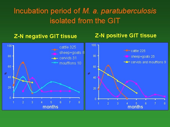 Incubation period of M. a. paratuberculosis isolated from the GIT Z-N positive GIT tissue