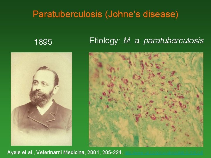 Paratuberculosis (Johne‘s disease) 1895 Etiology: M. a. paratuberculosis Ayele et al. , Veterinarni Medicina,