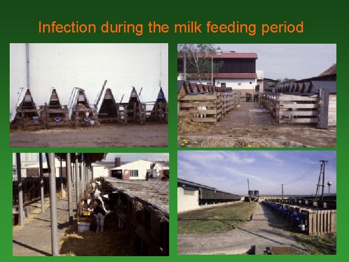 Infection during the milk feeding period 