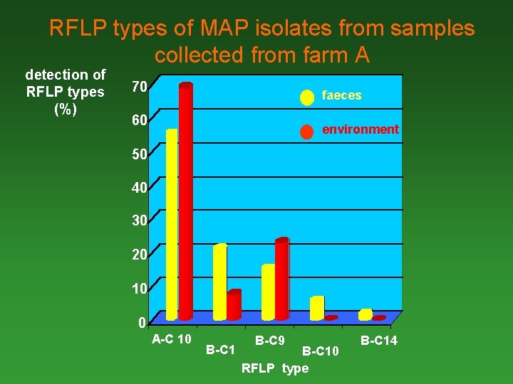 RFLP types of MAP isolates from samples collected from farm A detection of RFLP