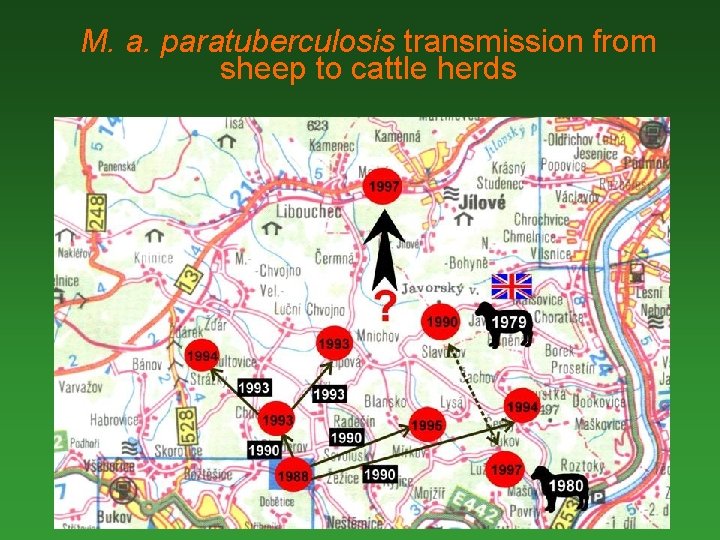 M. a. paratuberculosis transmission from sheep to cattle herds 