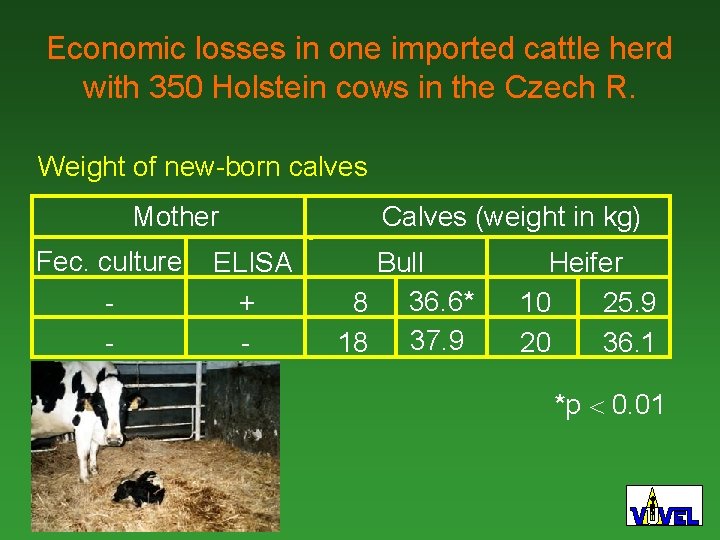 Economic losses in one imported cattle herd with 350 Holstein cows in the Czech
