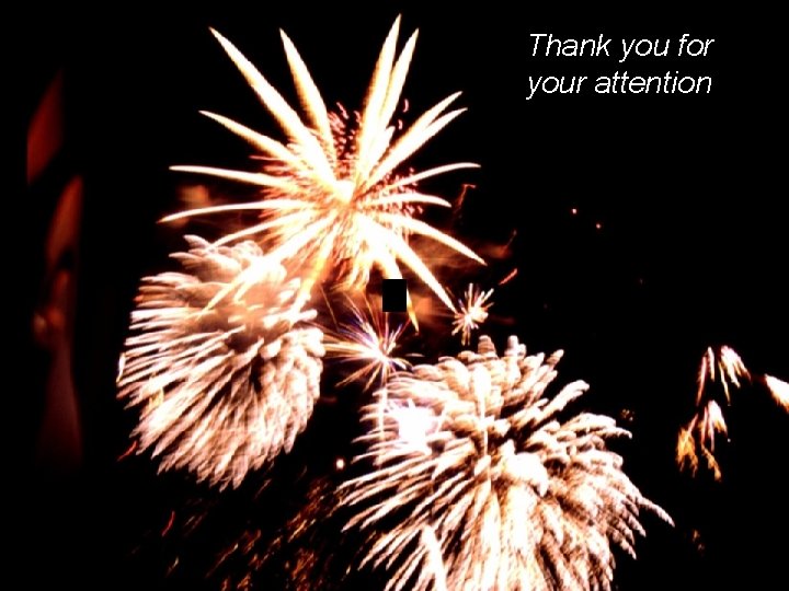 Thank you for your attention 