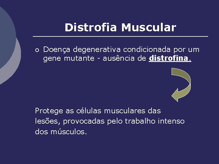 Distrofia Muscular ¡ Doença degenerativa condicionada por um gene mutante - ausência de distrofina.