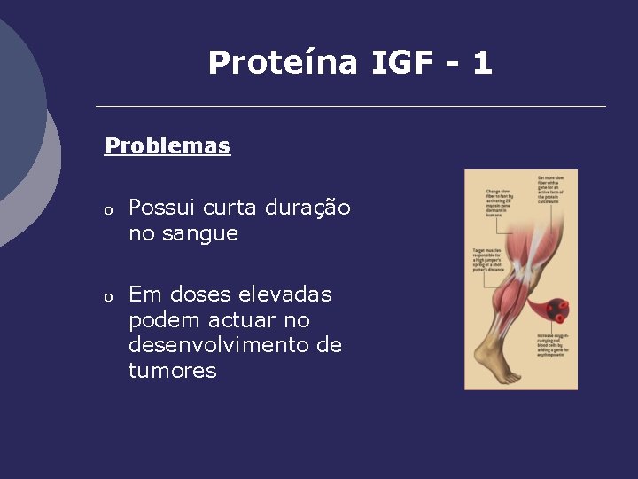 Proteína IGF - 1 Problemas o Possui curta duração no sangue o Em doses