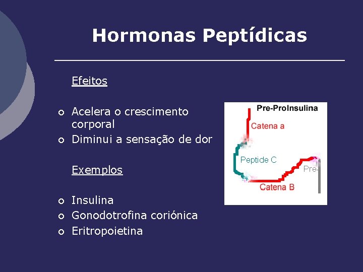 Hormonas Peptídicas Efeitos ¡ ¡ Acelera o crescimento corporal Diminui a sensação de dor