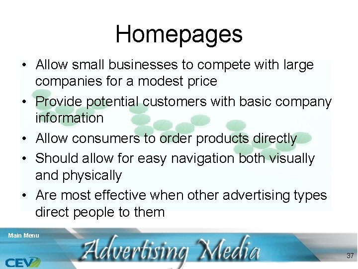 Homepages • Allow small businesses to compete with large companies for a modest price