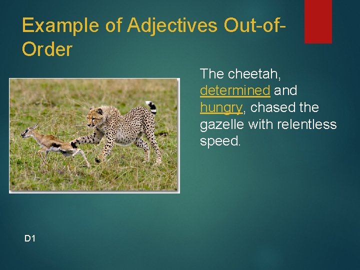 Example of Adjectives Out-of. Order The cheetah, determined and hungry, chased the gazelle with