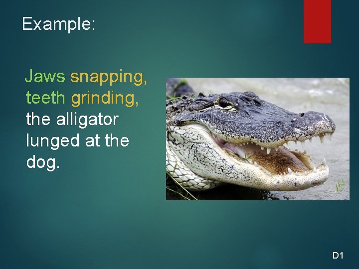 Example: Jaws snapping, teeth grinding, the alligator lunged at the dog. D 1 