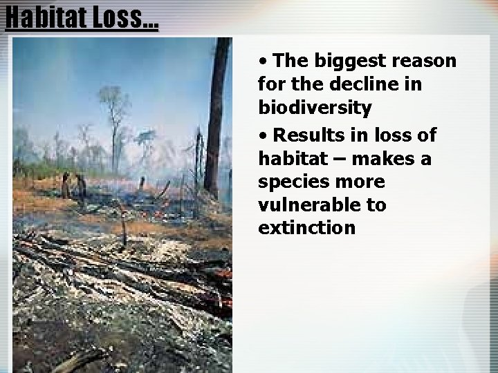 Habitat Loss… • The biggest reason for the decline in biodiversity • Results in