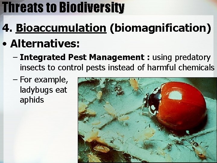 Threats to Biodiversity 4. Bioaccumulation (biomagnification) • Alternatives: – Integrated Pest Management : using