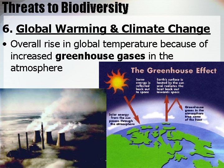 Threats to Biodiversity 6. Global Warming & Climate Change • Overall rise in global