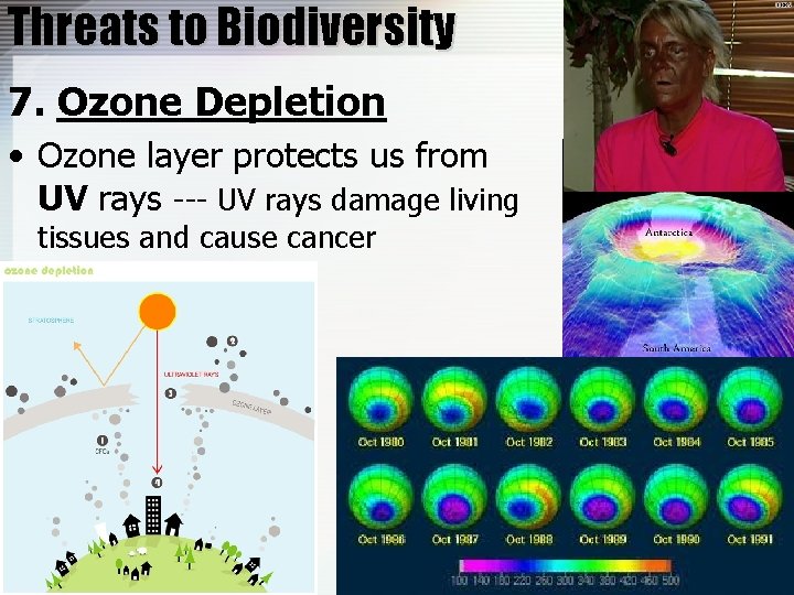 Threats to Biodiversity 7. Ozone Depletion • Ozone layer protects us from UV rays