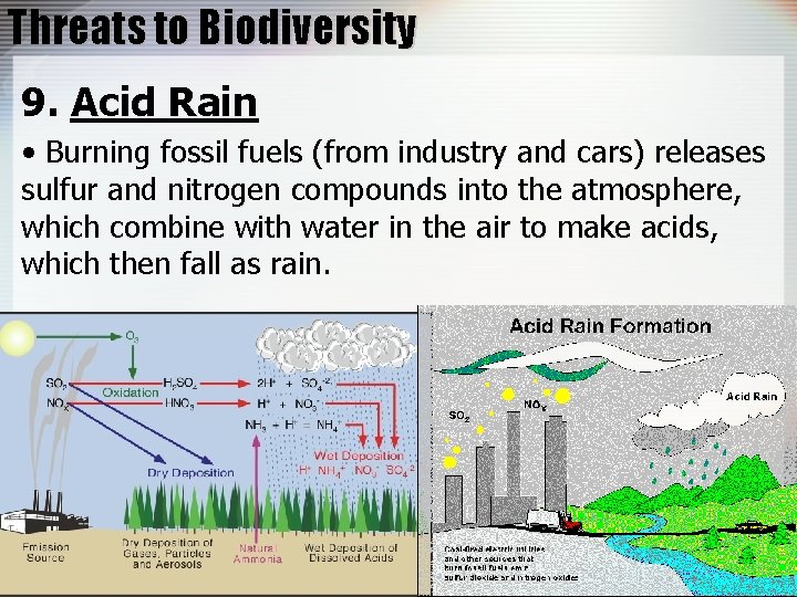 Threats to Biodiversity 9. Acid Rain • Burning fossil fuels (from industry and cars)