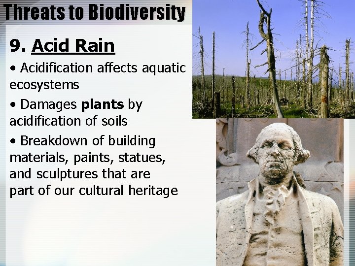 Threats to Biodiversity 9. Acid Rain • Acidification affects aquatic ecosystems • Damages plants