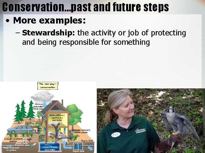 Conservation…past and future steps • More examples: – Stewardship: the activity or job of