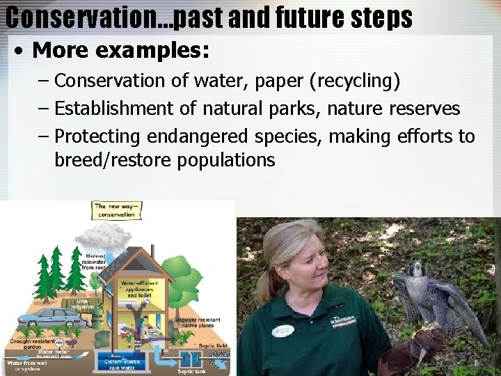 Conservation…past and future steps • More examples: – Conservation of water, paper (recycling) –