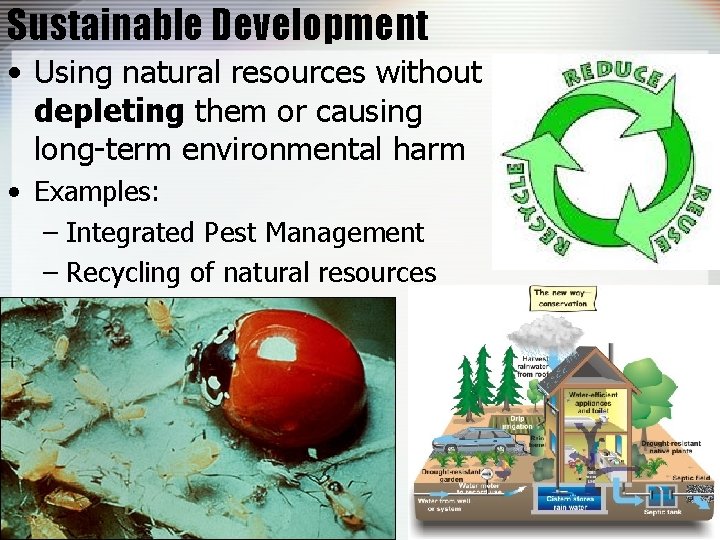 Sustainable Development • Using natural resources without depleting them or causing long-term environmental harm