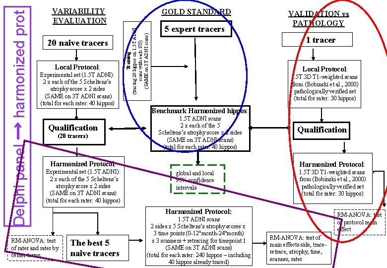 20 naive tracers Local Protocol: Experimental set (1. 5 T ADNI): 2 x each