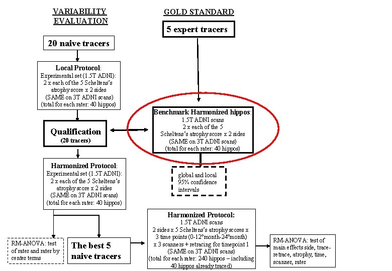 VARIABILITY EVALUATION GOLD STANDARD 5 expert tracers 20 naive tracers Local Protocol: Experimental set