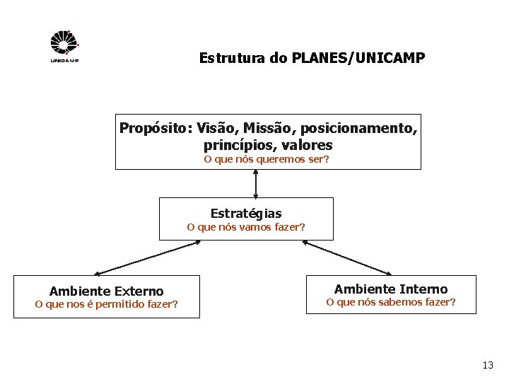 Estrutura do PLANES/UNICAMP Propósito: Visão, Missão, posicionamento, princípios, valores O que nós queremos ser?