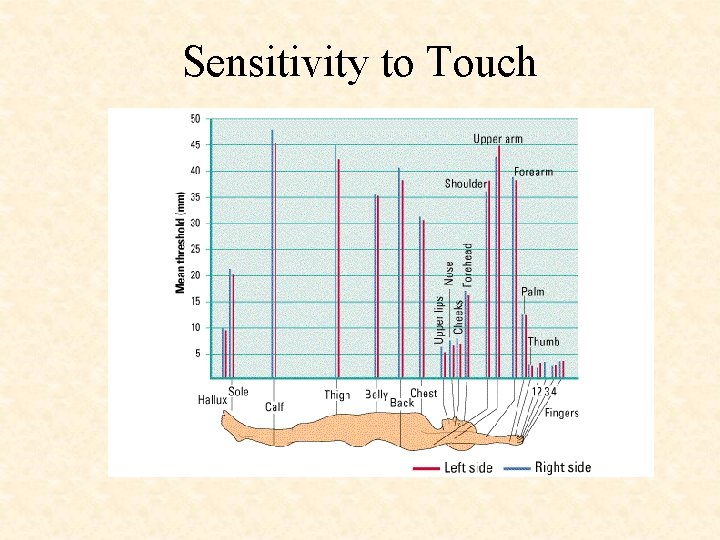 Sensitivity to Touch 