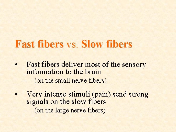 Fast fibers vs. Slow fibers • Fast fibers deliver most of the sensory information