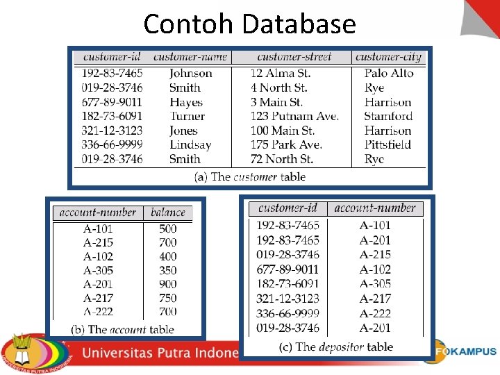 Contoh Database 