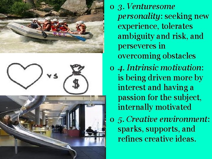 o 3. Venturesome personality: seeking new experience, tolerates ambiguity and risk, and perseveres in