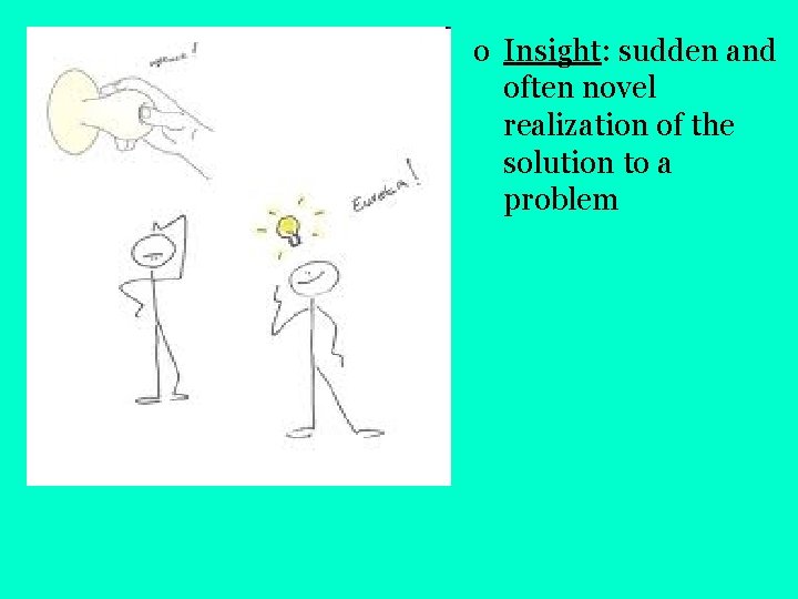 o Insight: sudden and often novel realization of the solution to a problem 