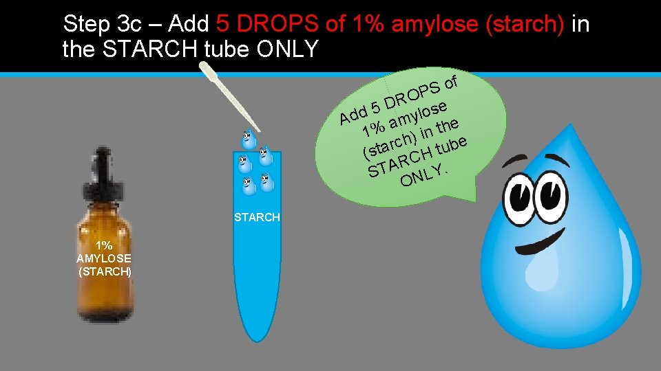 Step 3 c – Add 5 DROPS of 1% amylose (starch) in the STARCH