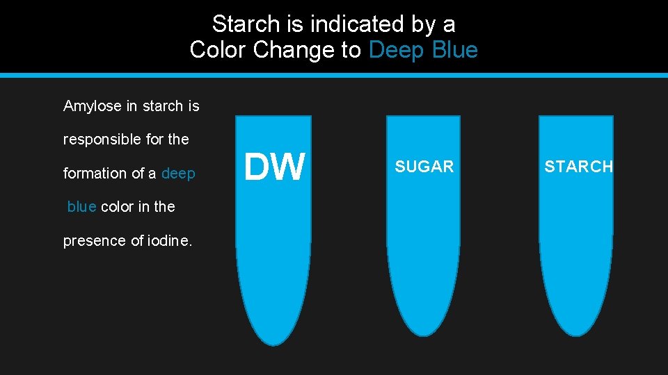 Starch is indicated by a Color Change to Deep Blue Amylose in starch is