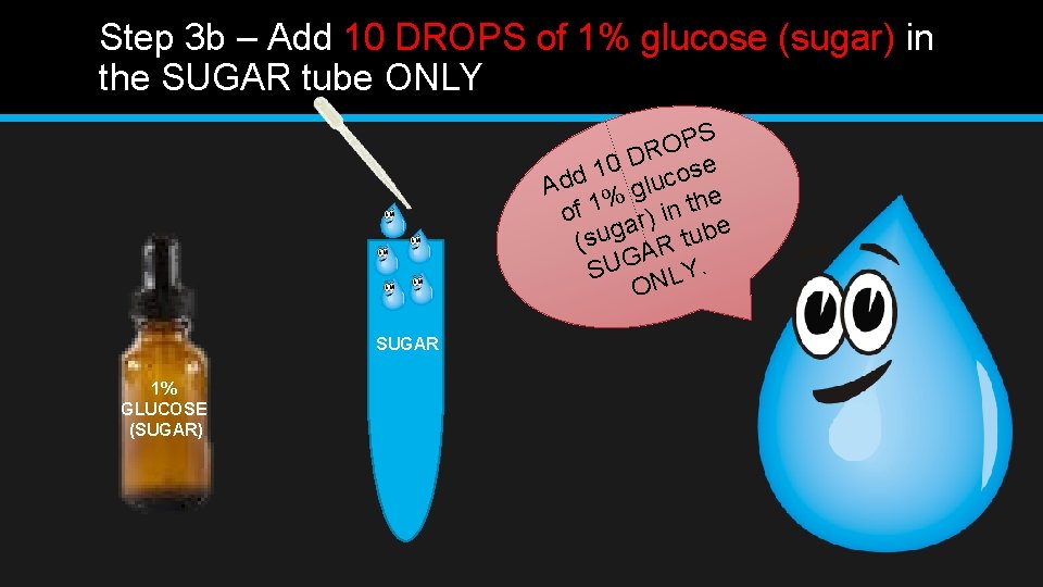 Step 3 b – Add 10 DROPS of 1% glucose (sugar) in the SUGAR