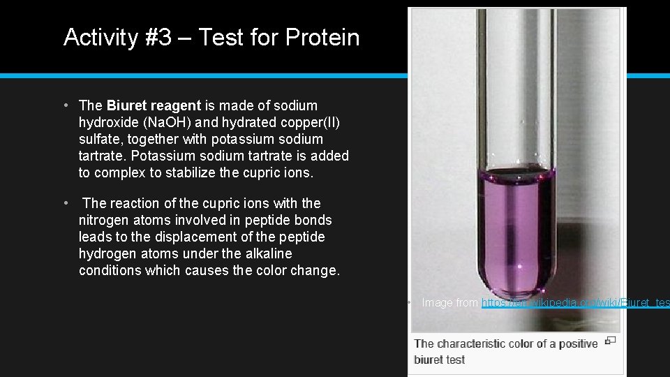 Activity #3 – Test for Protein • The Biuret reagent is made of sodium